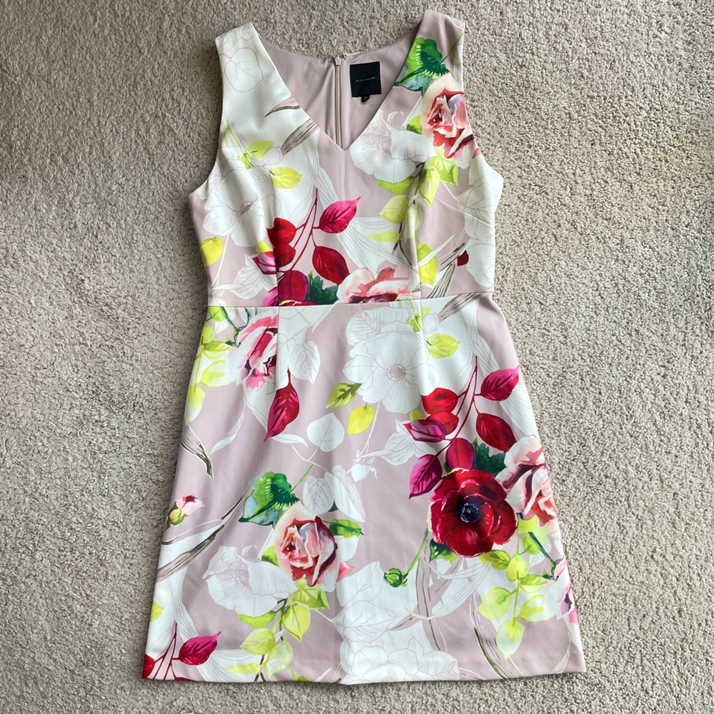 Alex Marie Floral Blush Pink Red White Green V-cut A-Line Mini Dress Size 14